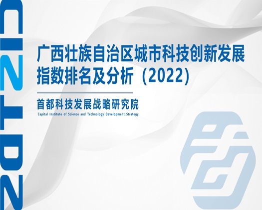 老熟妇肥屄视频【成果发布】广西壮族自治区城市科技创新发展指数排名及分析（2022）